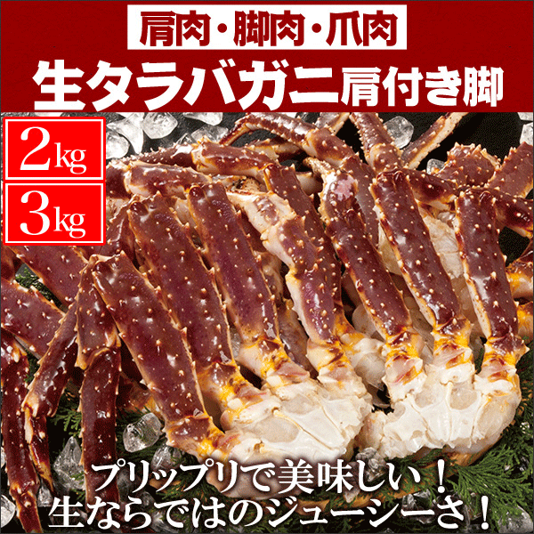 �u�������^���o�����g�v������Z�b�g���v�Q����