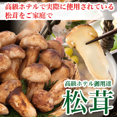 �����z�e����p�B�����@�Q�j���Z�b�g